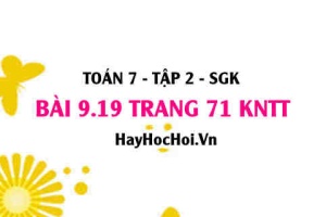 Bài 9.19 trang 71 Toán 7 Tập 2 Kết nối tri thức